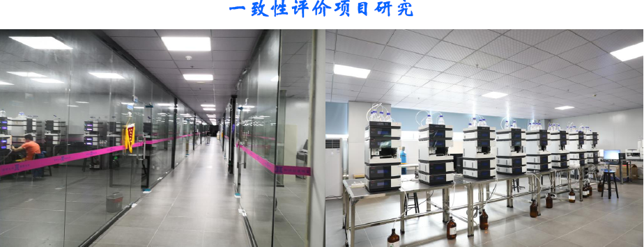 一致性評(píng)價(jià)項(xiàng)目研究.png