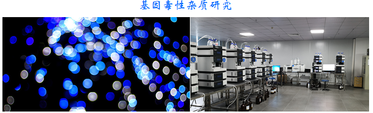 基因毒性雜質(zhì)研究.png