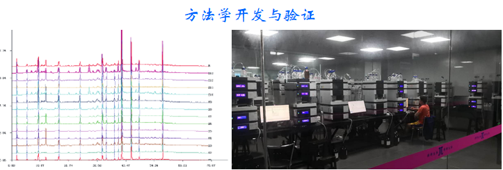 方法學(xué)開發(fā)與驗(yàn)證.png