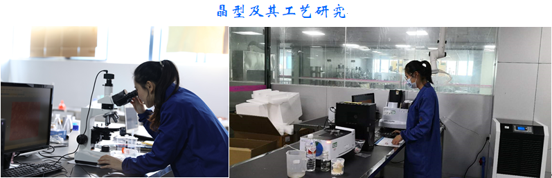 晶型及其工藝研究.png