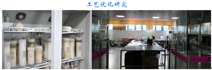工藝優(yōu)化研究.png